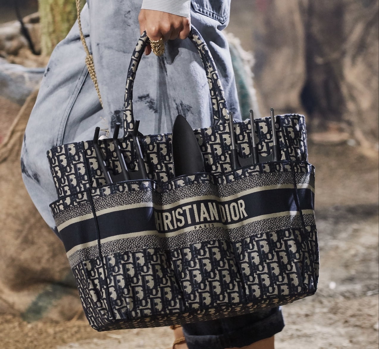 There's a New Small Dior Book Tote in Town - PurseBop