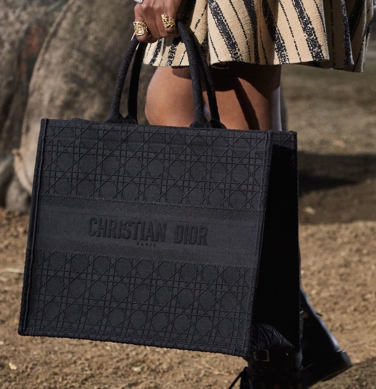 Dior Spring 2020 Introduces The Book Tote in a Smaller Size