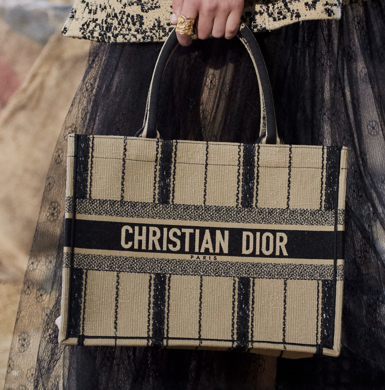 christian dior book tote size