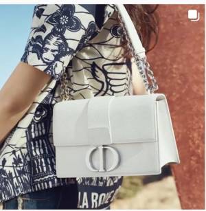 Dior Fall 2020 Bags Are Familiar - PurseBop