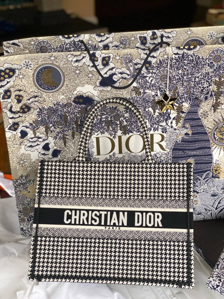 There's a New Small Dior Book Tote in Town - PurseBop