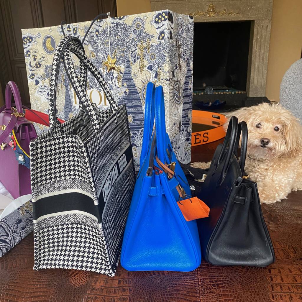 hermes dog bag