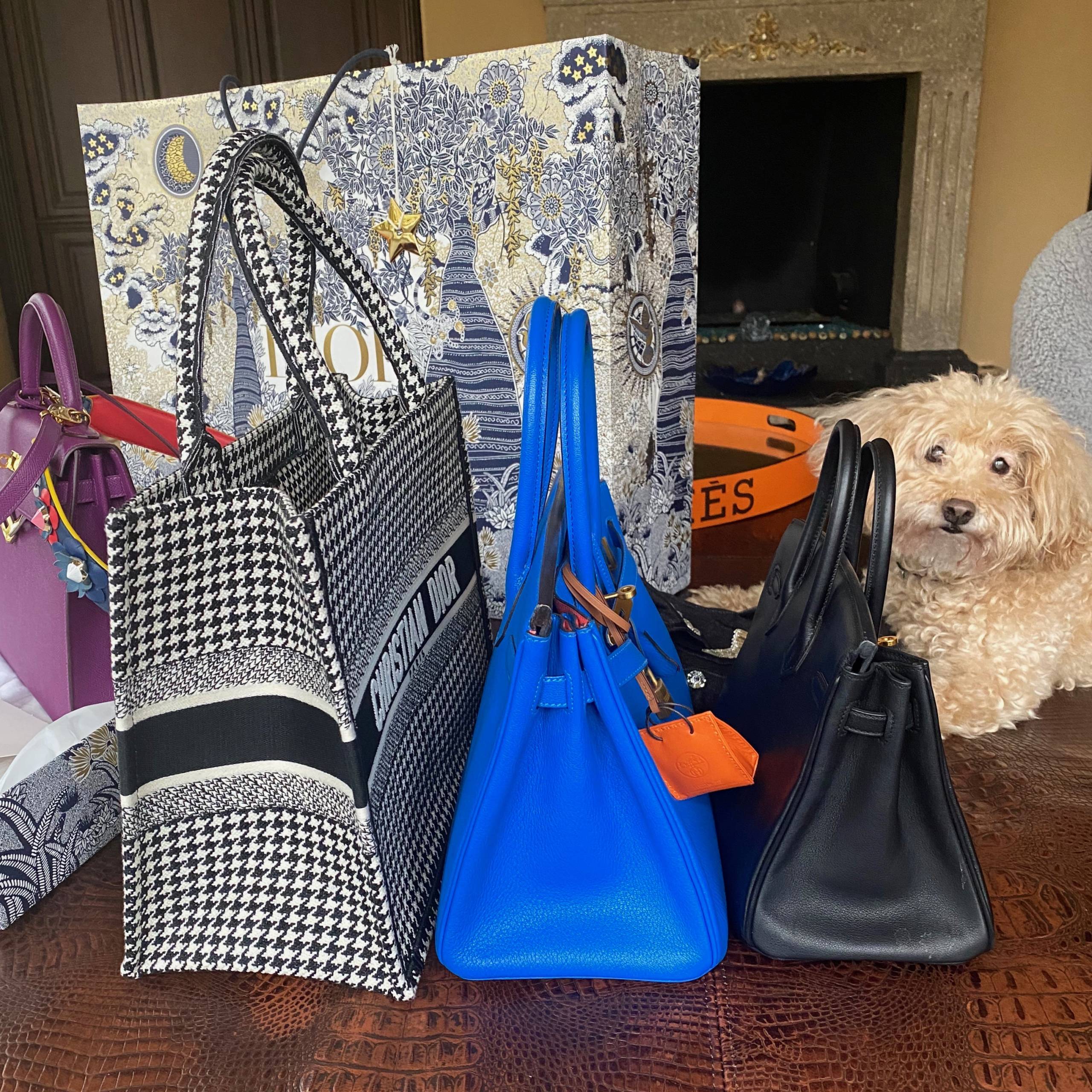 dior dog bag