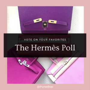 The Hermès Constance Face Off : C18 or C24? - PurseBop