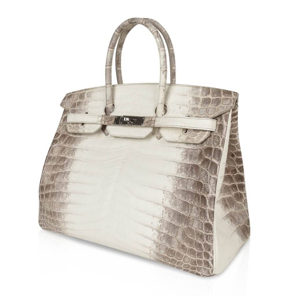 Influential Women Who Carry a Himalaya Birkin - PurseBop