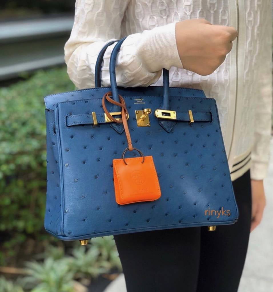 hermes birkin 25 ostrich