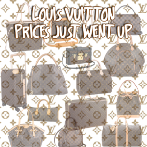 ubehageligt Vice Ønske Louis Vuitton price increase Archives - PurseBop