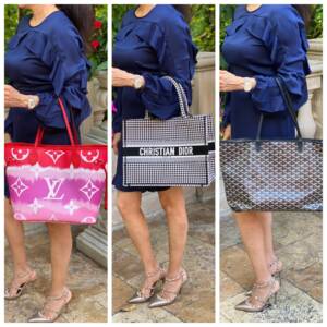 Spotlight on the Goyard Mini Anjou Tote - PurseBop