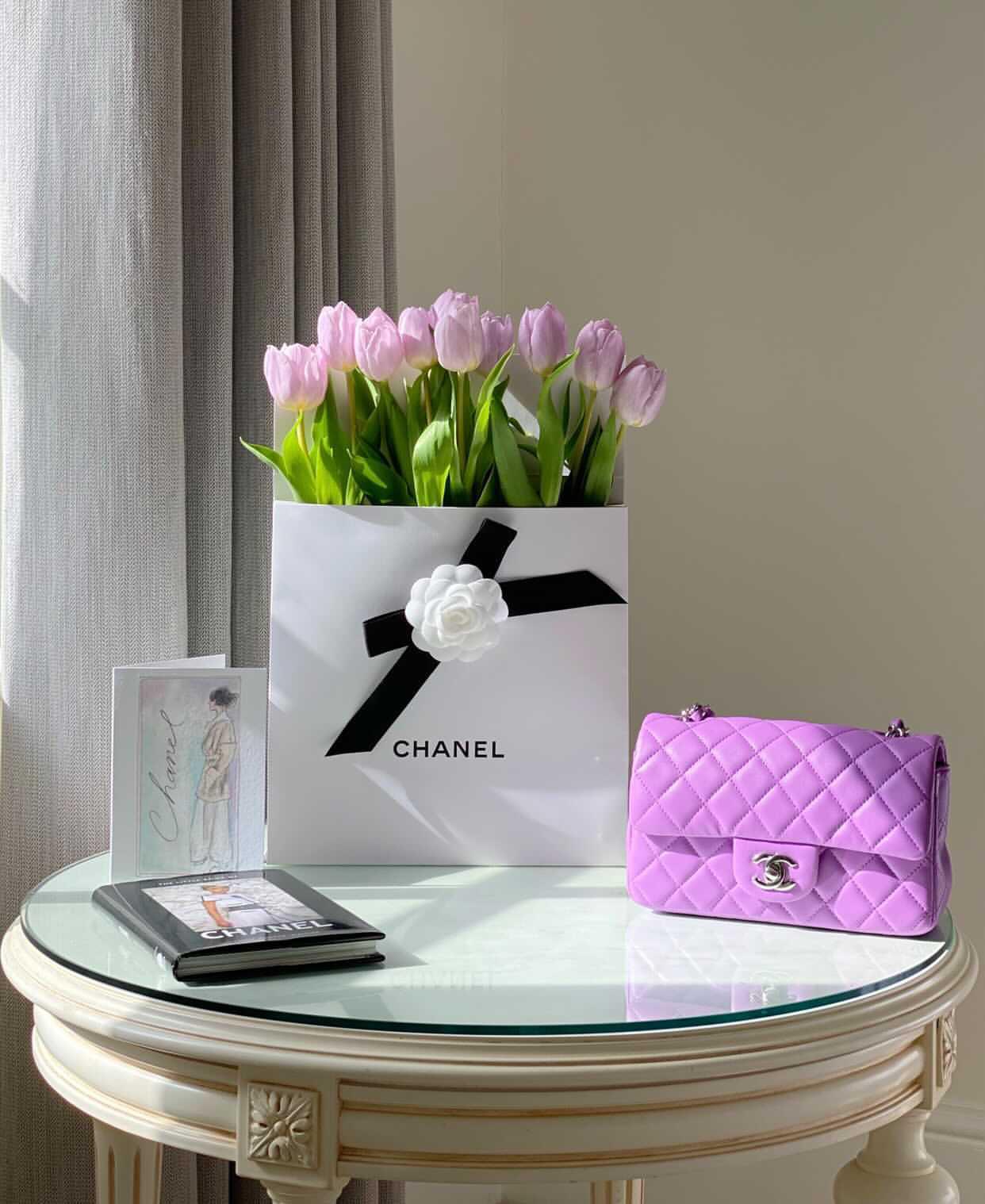 Chanel Coco Handle: What You Need to Know - PurseBop