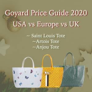 The Goyard Tote Price Guide 2023: USA vs Europe vs UK - PurseBop