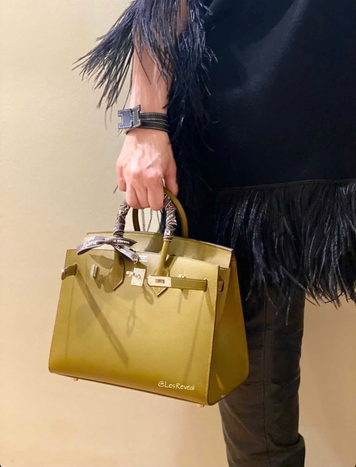 Reveal time! Read the story and review of BopTalk Celebrity StylishSheba's Hermes  Birkin 25.