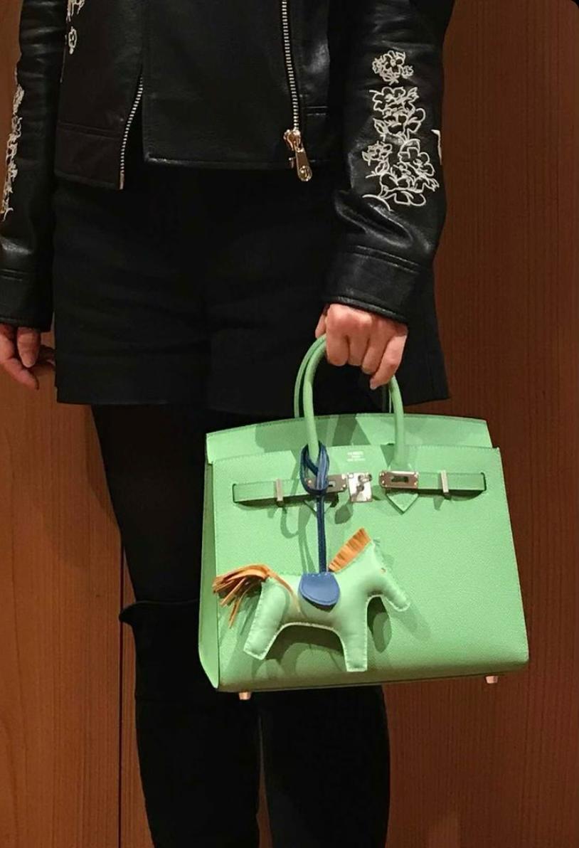 More on the New and VERY HOT Birkin Sellier - PurseBop