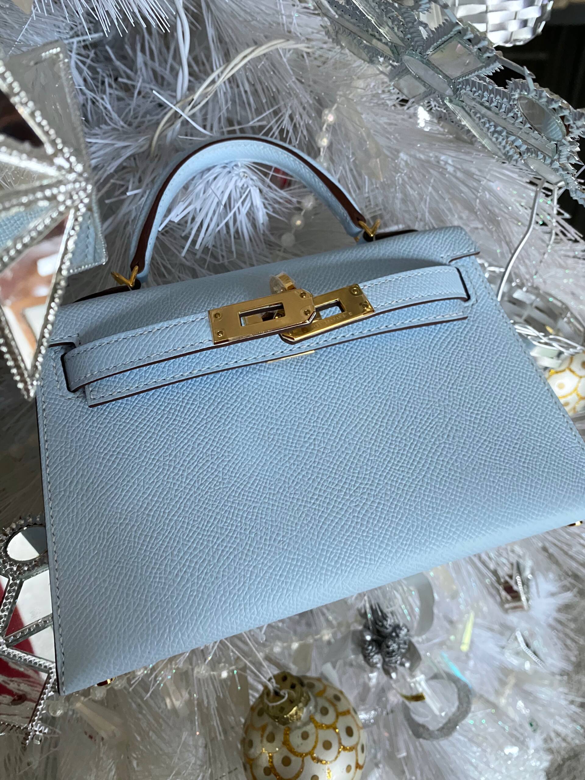 Reveal: Meet My New Hermès Mini Kelly - PurseBop