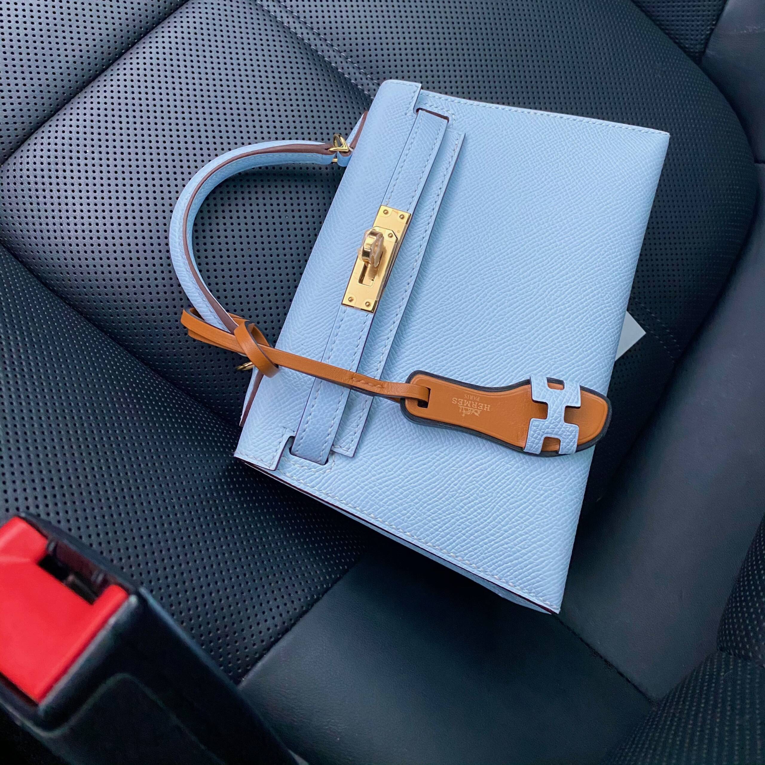 Reveal and Review of the Hermès Mini Kelly II - PurseBop