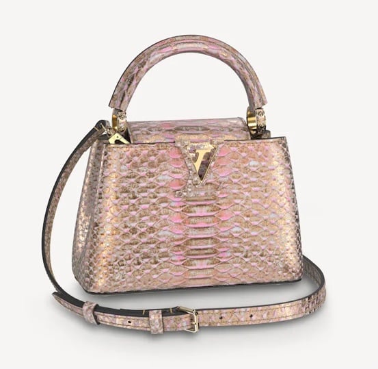 Louis Vuitton Petite Malle lizard Skin Box Bag.