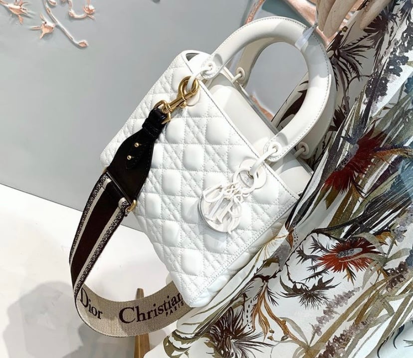 Meet the New Dior Caro Bag - PurseBop