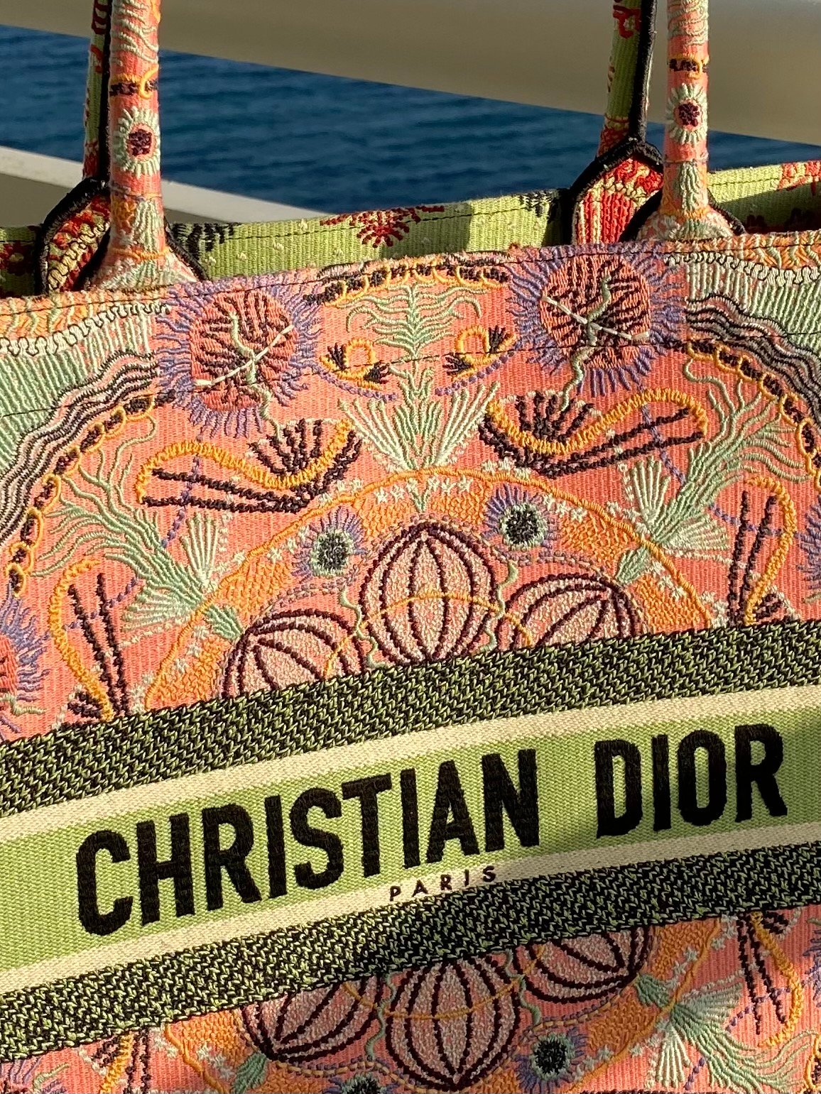 Is the Dior book tote WORTH IT? 🤔 Did you know these CRAZY facts abou
