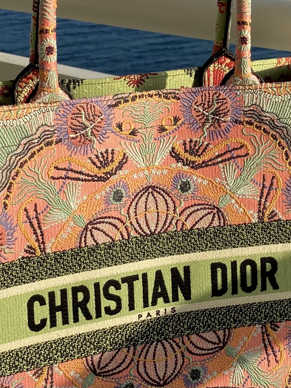 Dior Book Tote Review