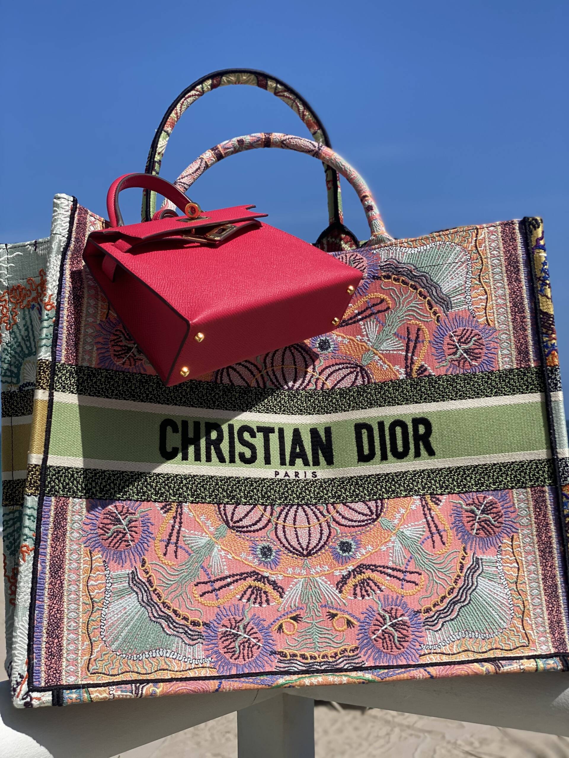 The Dior Book Tote Size Guide - PurseBlog