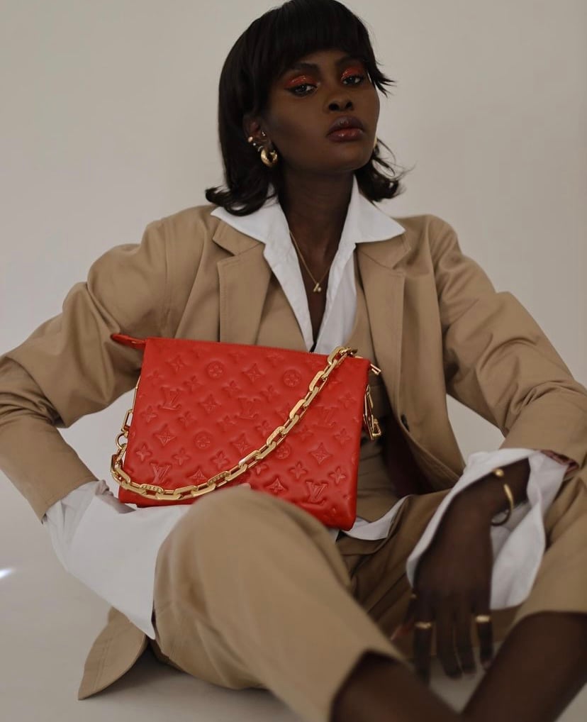 Could This Be The 'It' Bag Of Spring 2021? Introducing The Louis Vuitton  Coussin - PurseBop