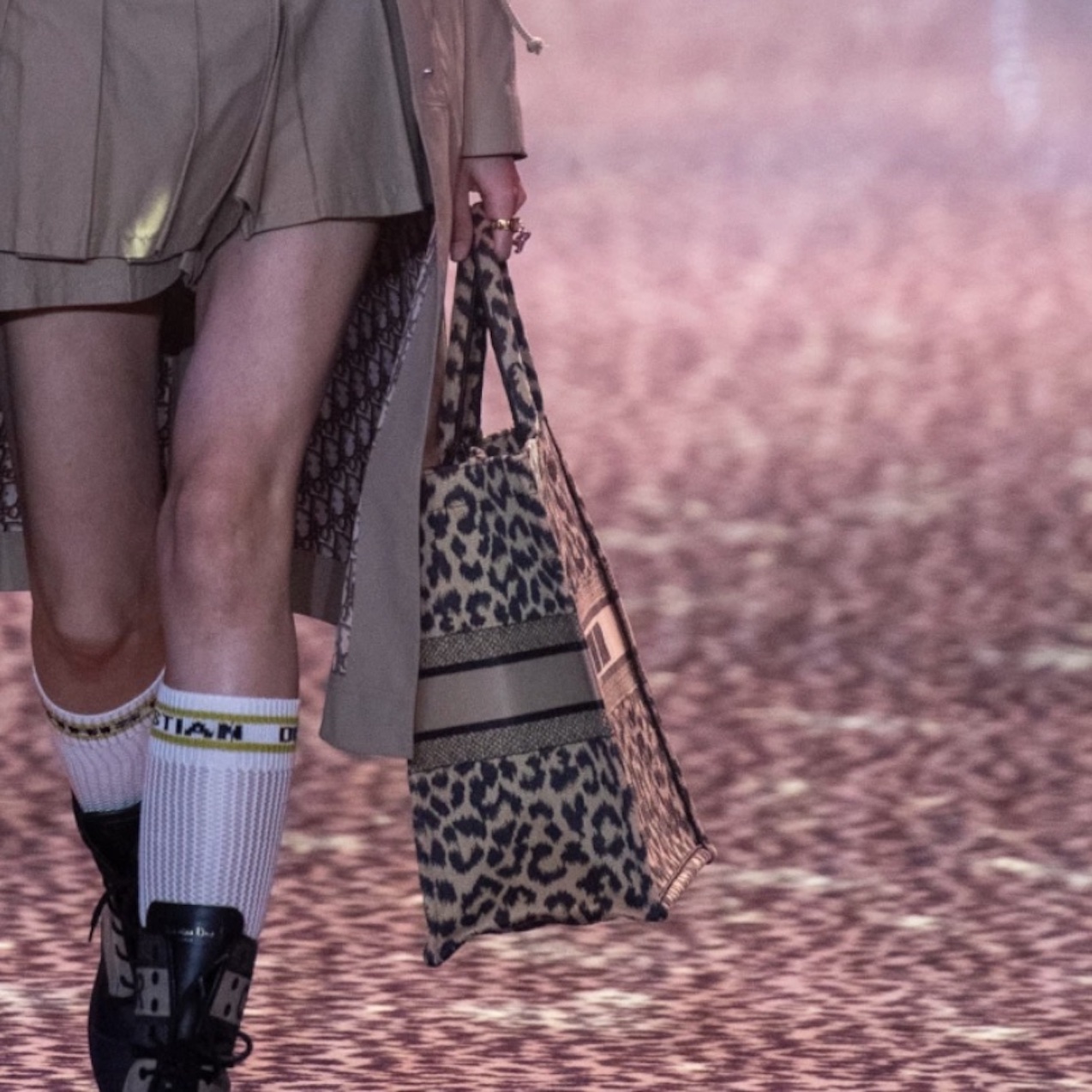 Dior Fall and Pre-fall 2021