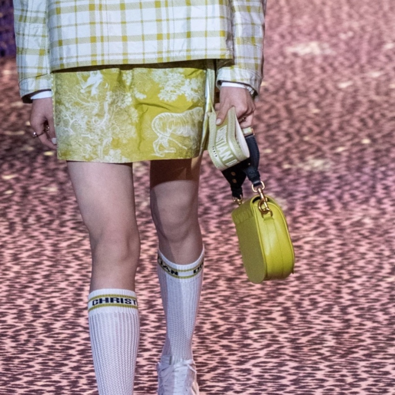 Dior Fall and Pre-fall 2021