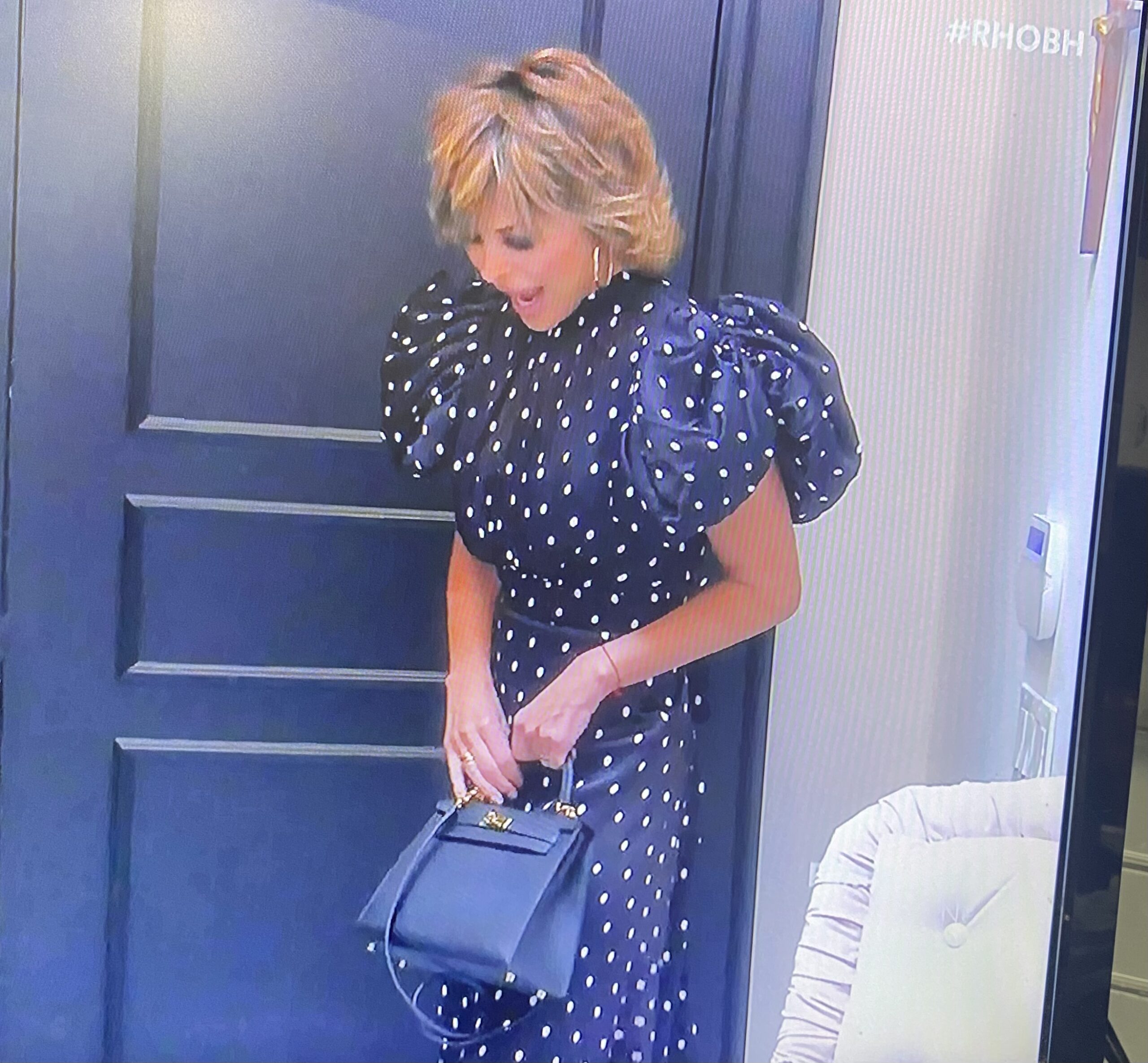 How Many Hermès Bags Did You See on The Real Housewives of Beverly