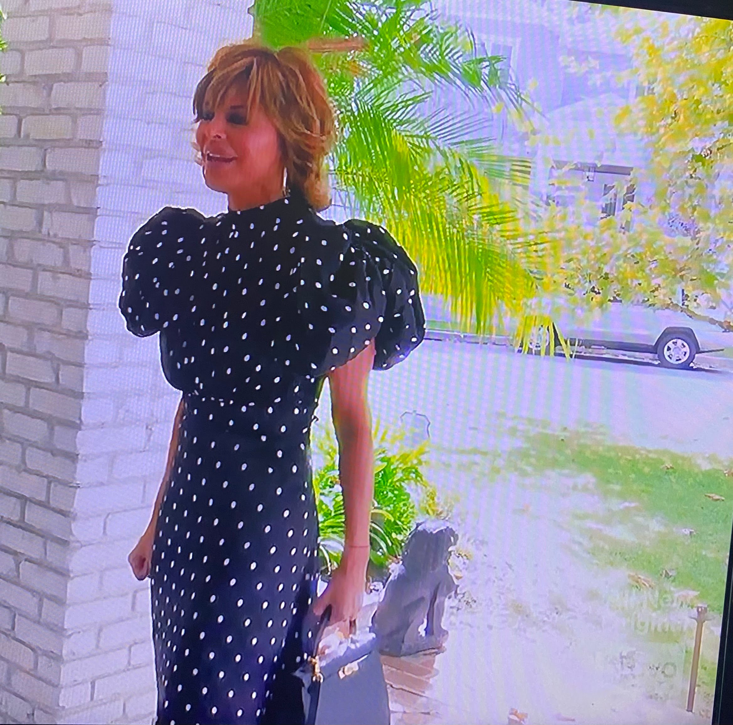 Lisa Rinna, Kyle Richards Wear Same Rotate Polka Dot Dress