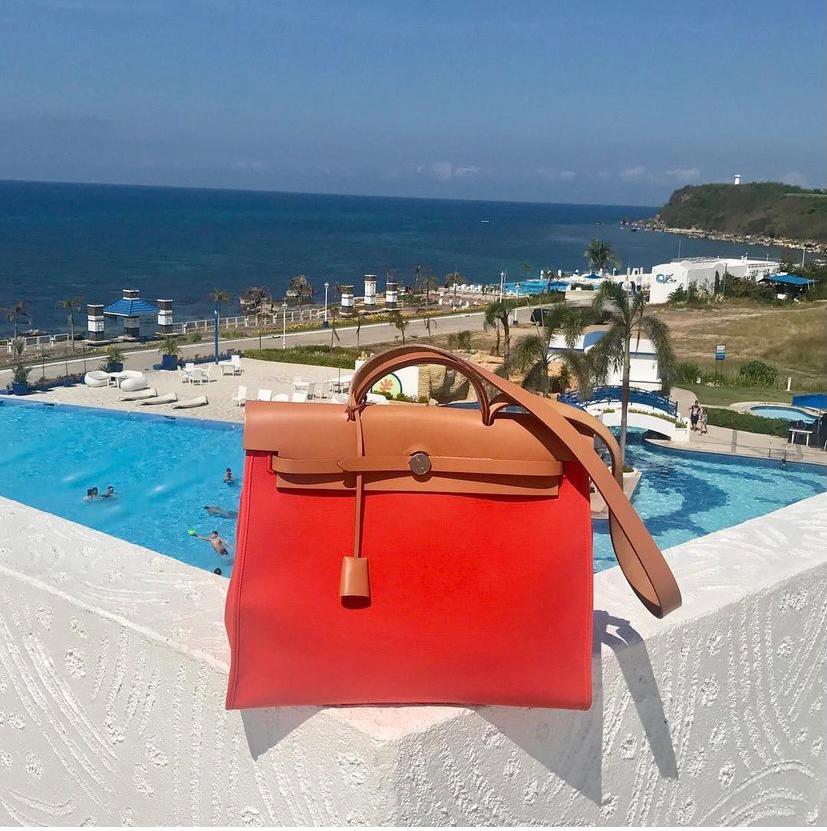 celebrity hermes herbag 31