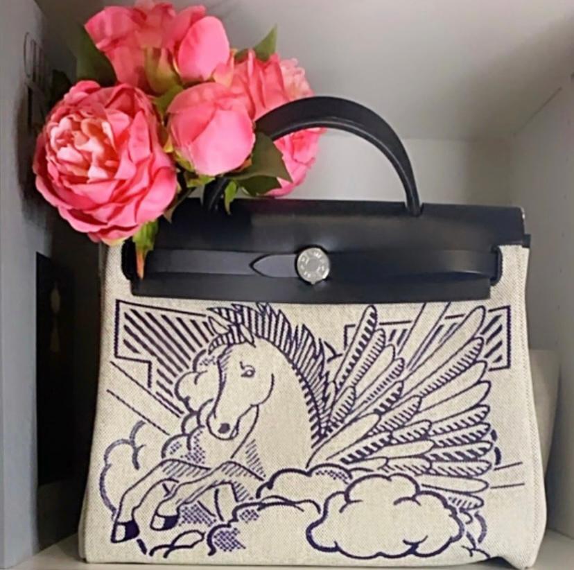 Hermes pegasus herbag 2025