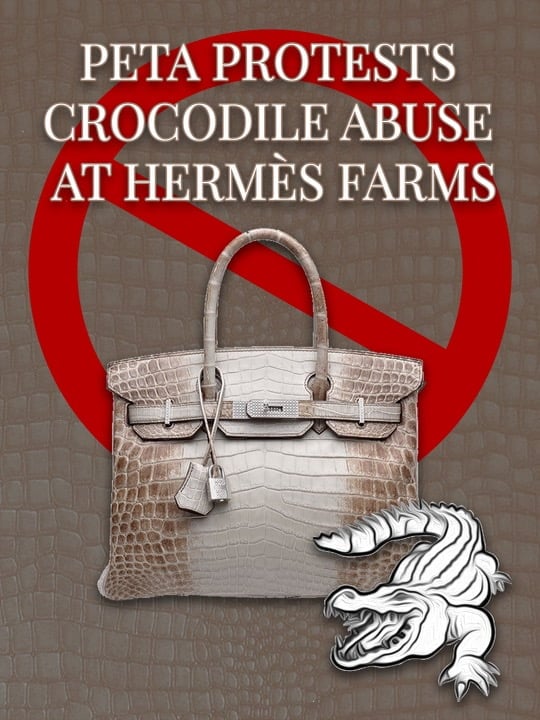 PETA Protests Crocodile Abuse at Hermès Farms with Graphic Displays at  Storefronts