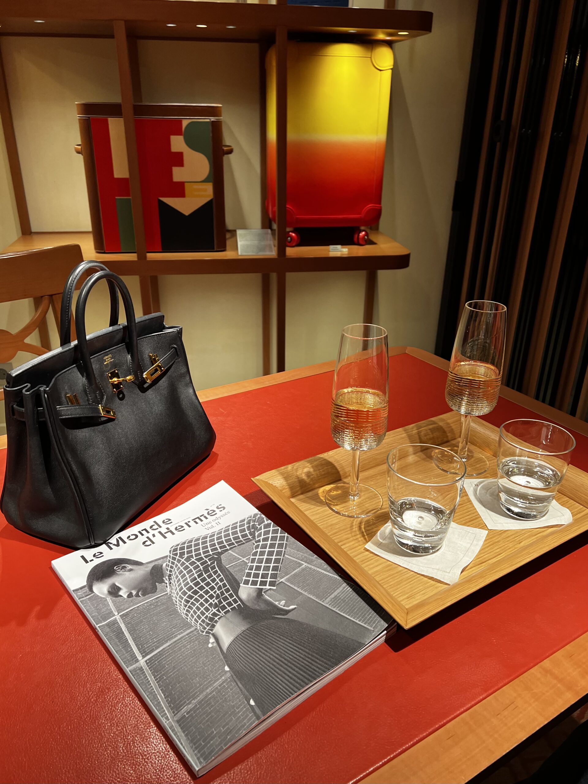 All About the Exclusive Touch Birkin: Hermès 101 & Reveal - PurseBop