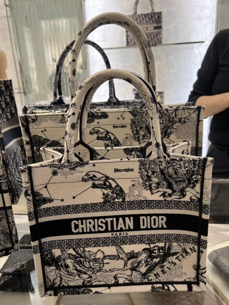 6 MustSee Dior Book Tote Dupe Bags Lookalikes for less 2023