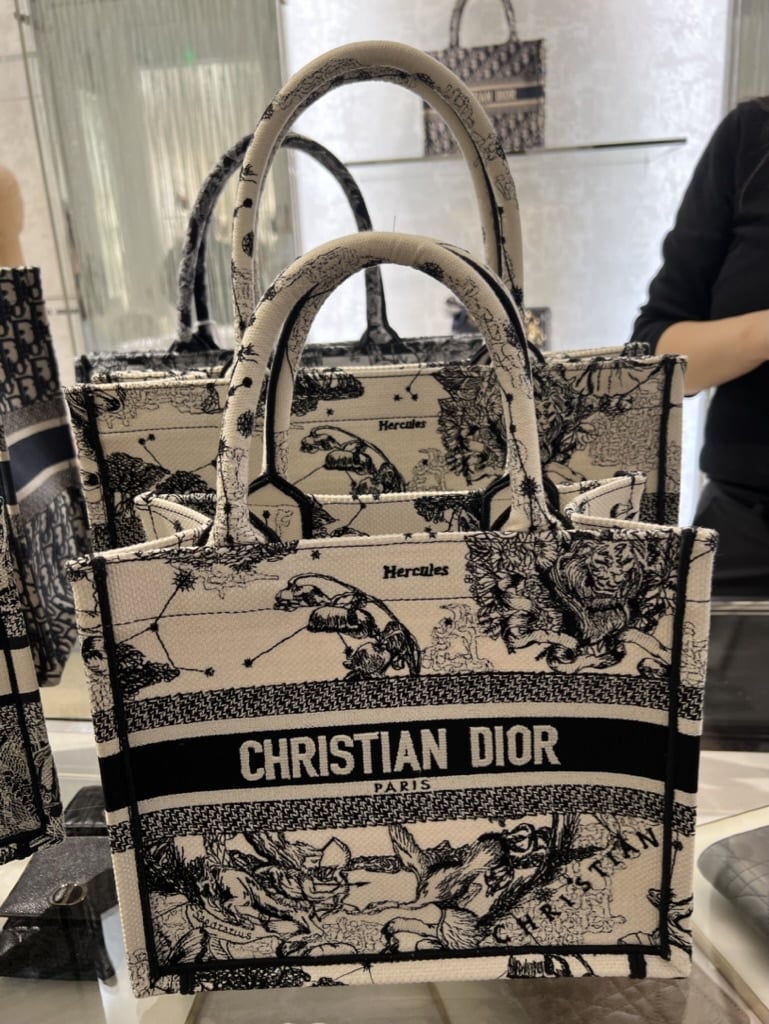 The Tote Showdown: LV Neverfull vs Dior Book Tote vs Goyard Artois -  PurseBop