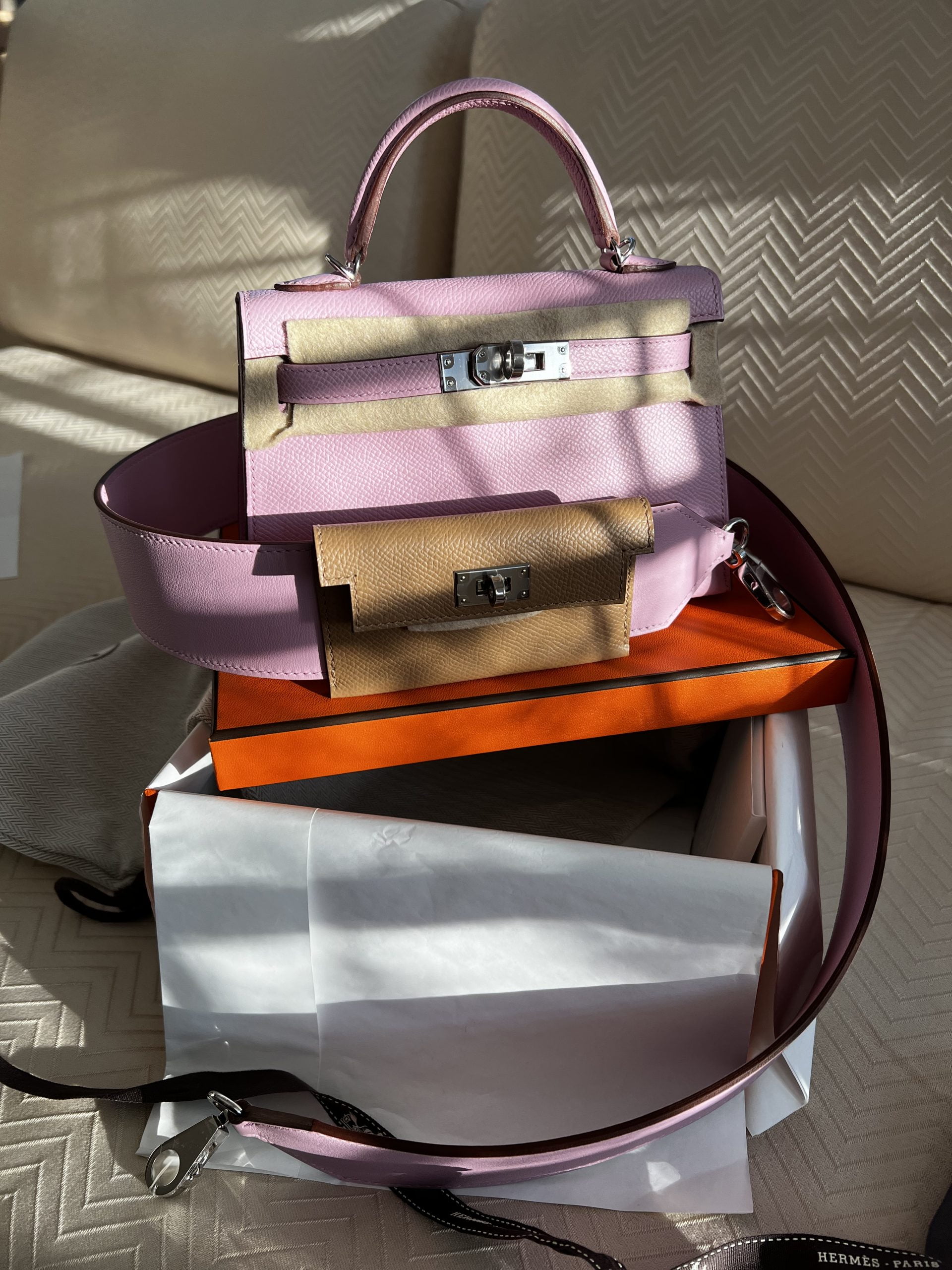 OMG, Move Over Mini Kelly, the Birkin 20 is Here - PurseBop