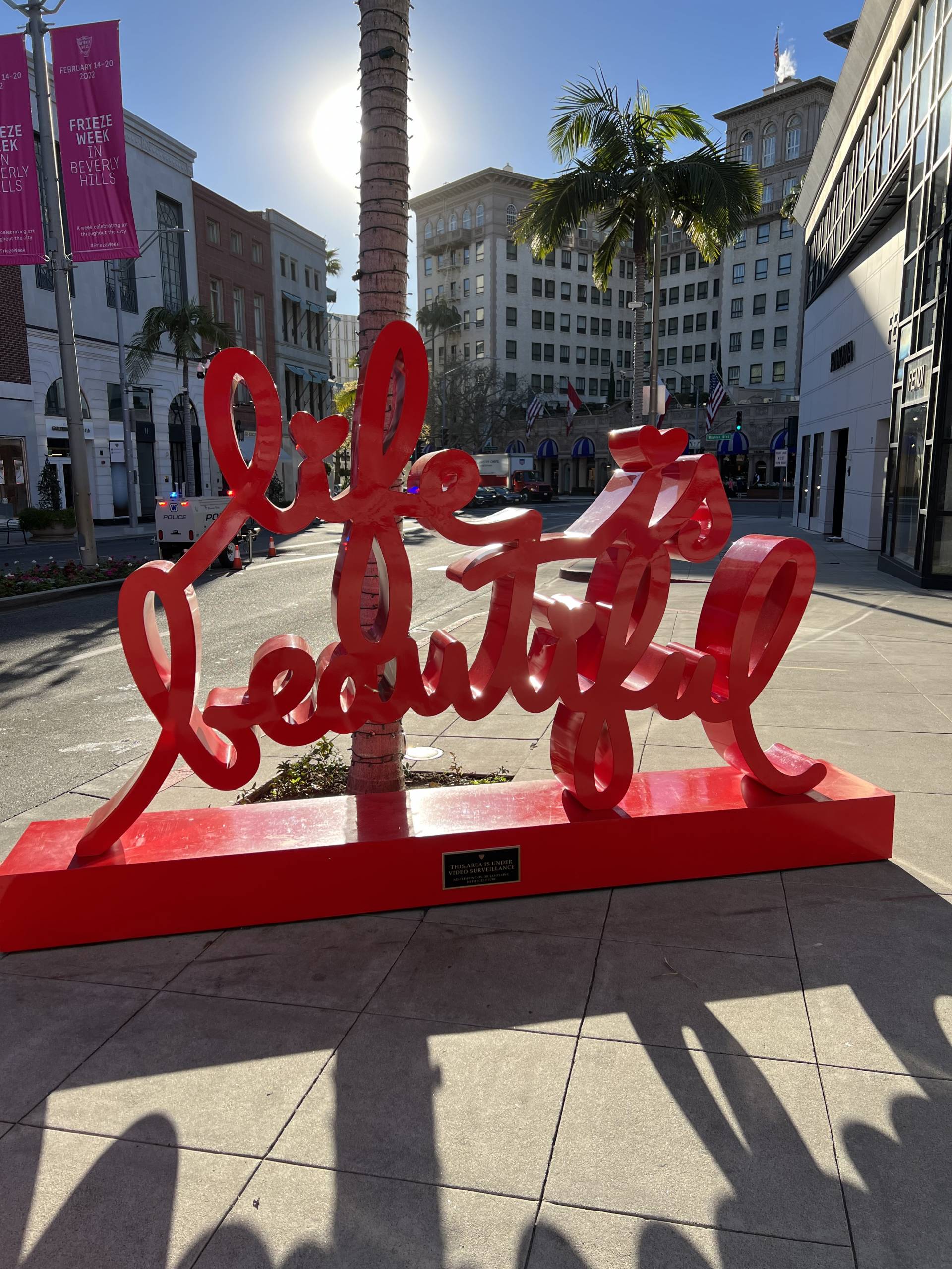 Hermès Birkins We Spotted Strutting on Rodeo Drive - PurseBop