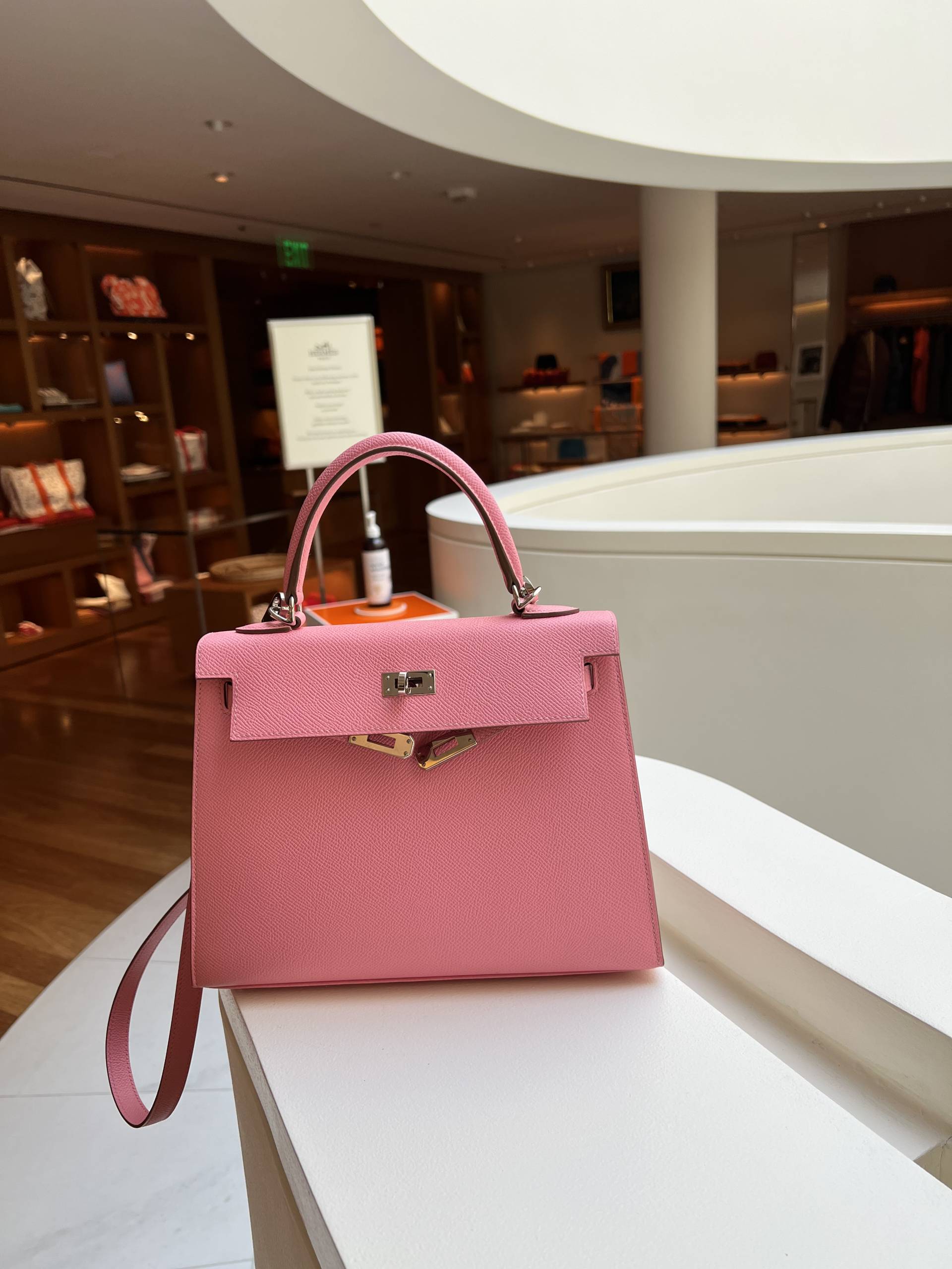 Hermès Kellys We Spotted in Action on Rodeo Drive - PurseBop