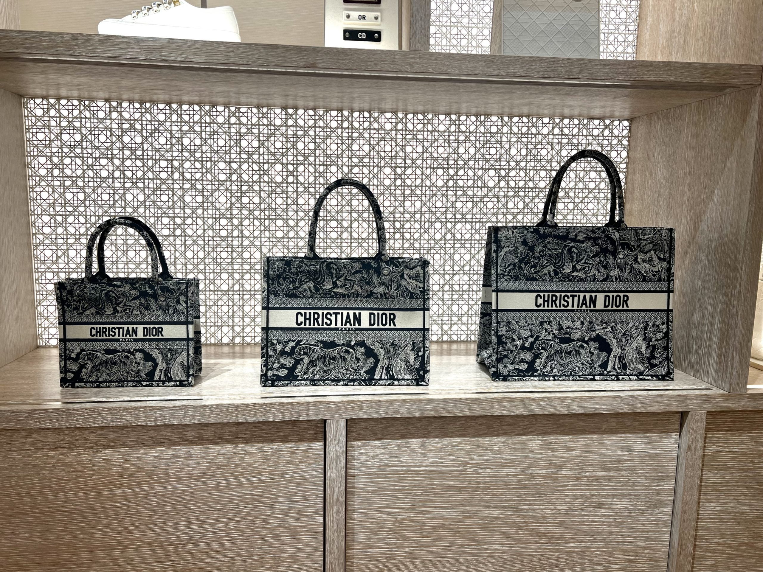 A Small Dior Book Tote Reveal from Paris