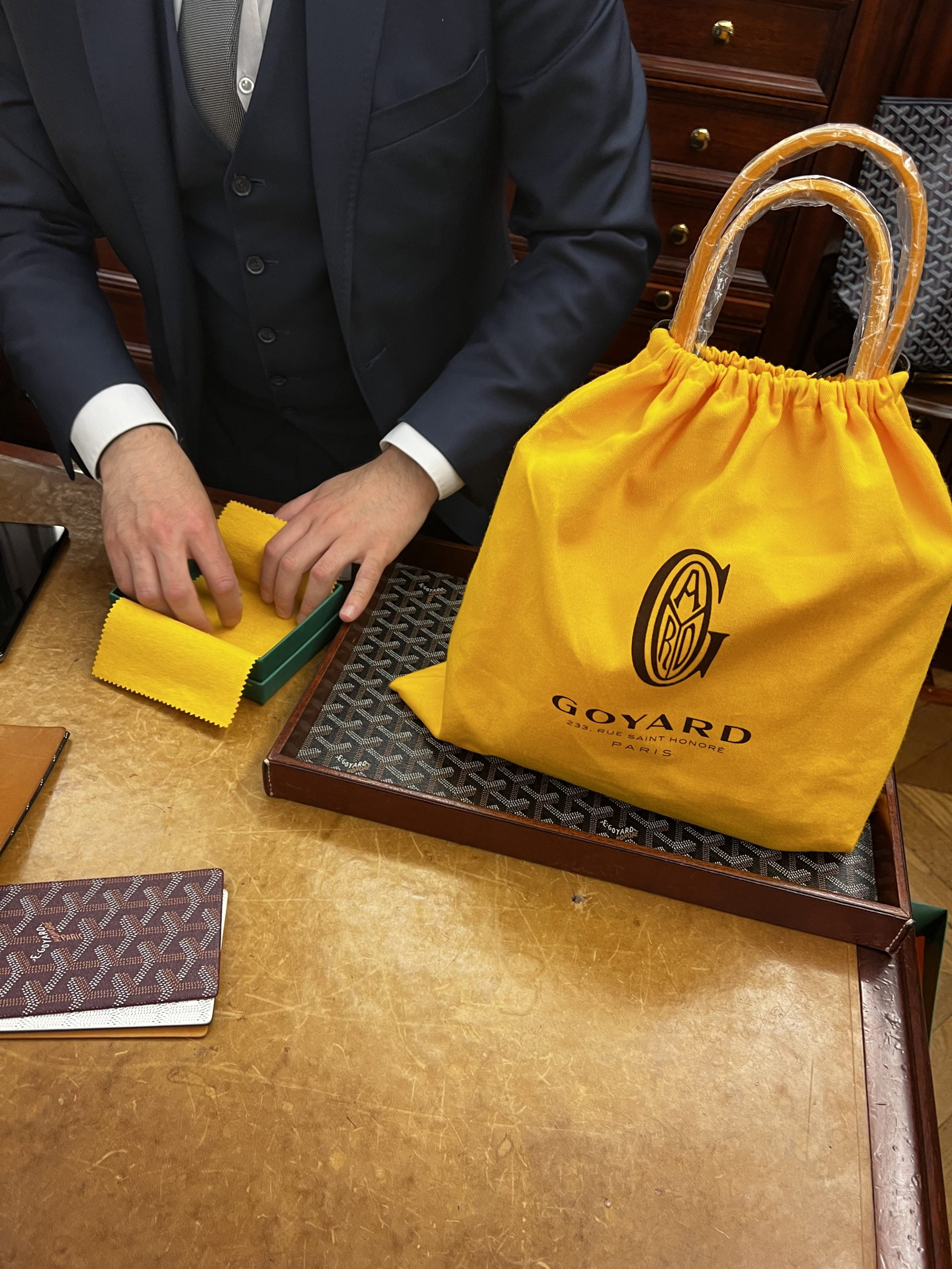 What's In My Bag?  Goyard Anjou Mini Bag 