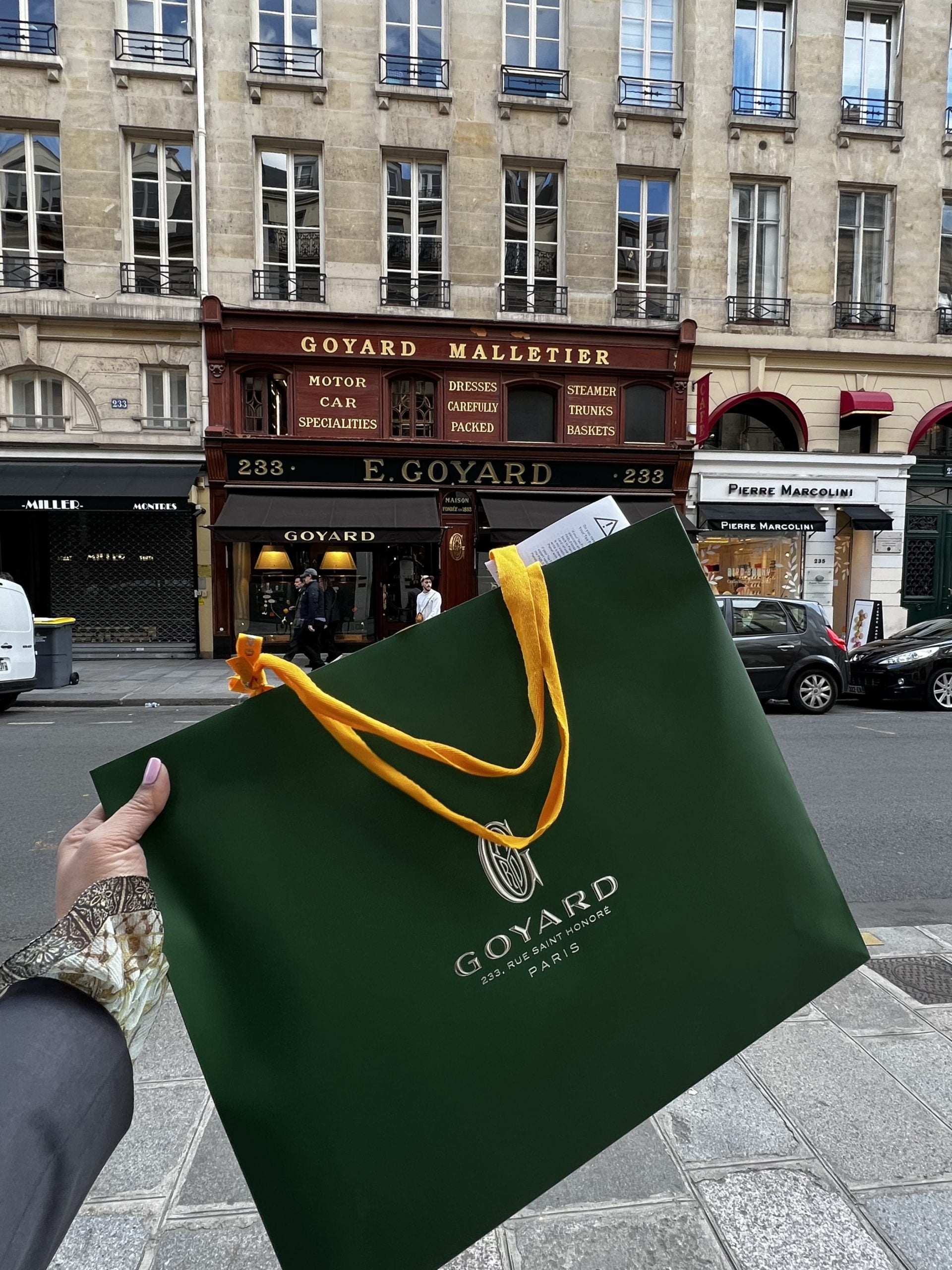 Goyard Anjou Mini Tote – SFN