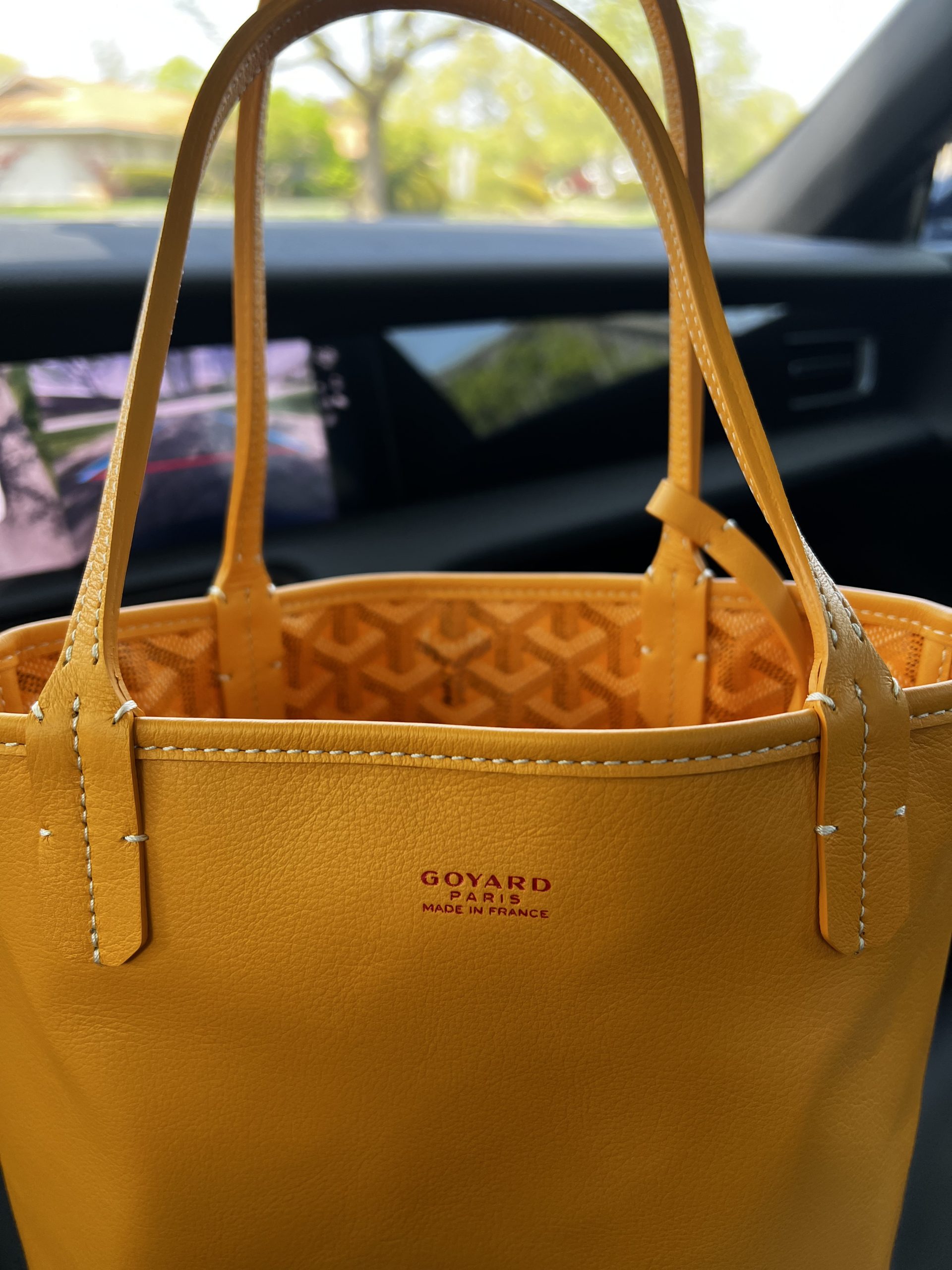 Spotlight on the Goyard Mini Anjou Tote - PurseBop