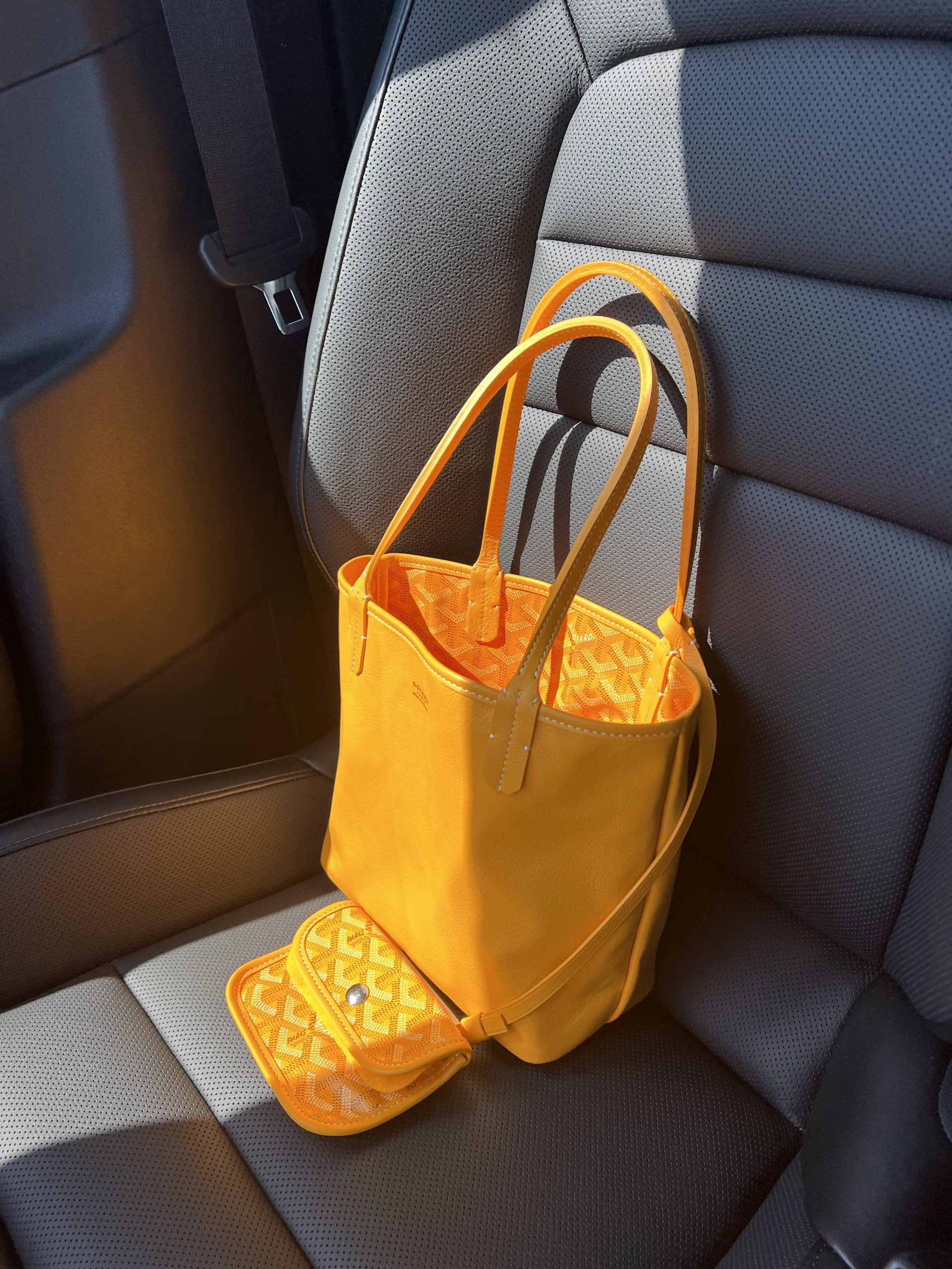 Spotlight on the Goyard Mini Anjou Tote - PurseBop