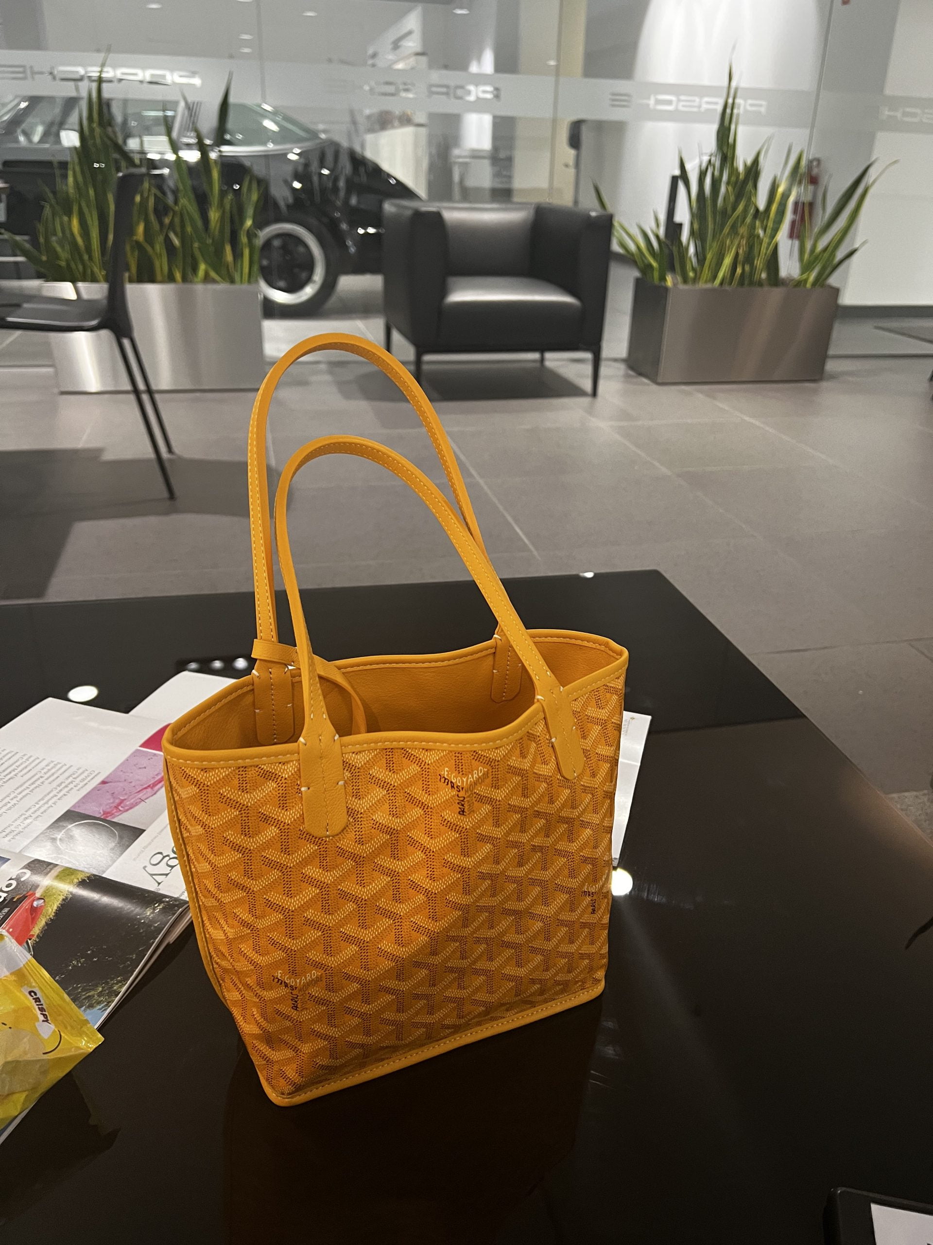 Goyard Anjou mini tote