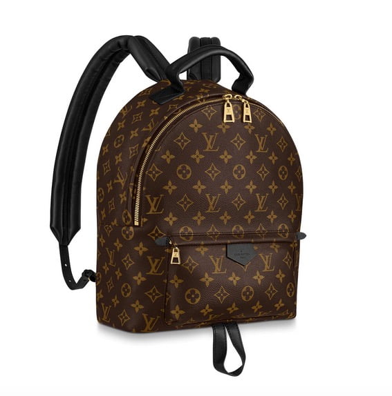 2022 In Review: The Louis Vuitton Palm Springs Mini Backpack