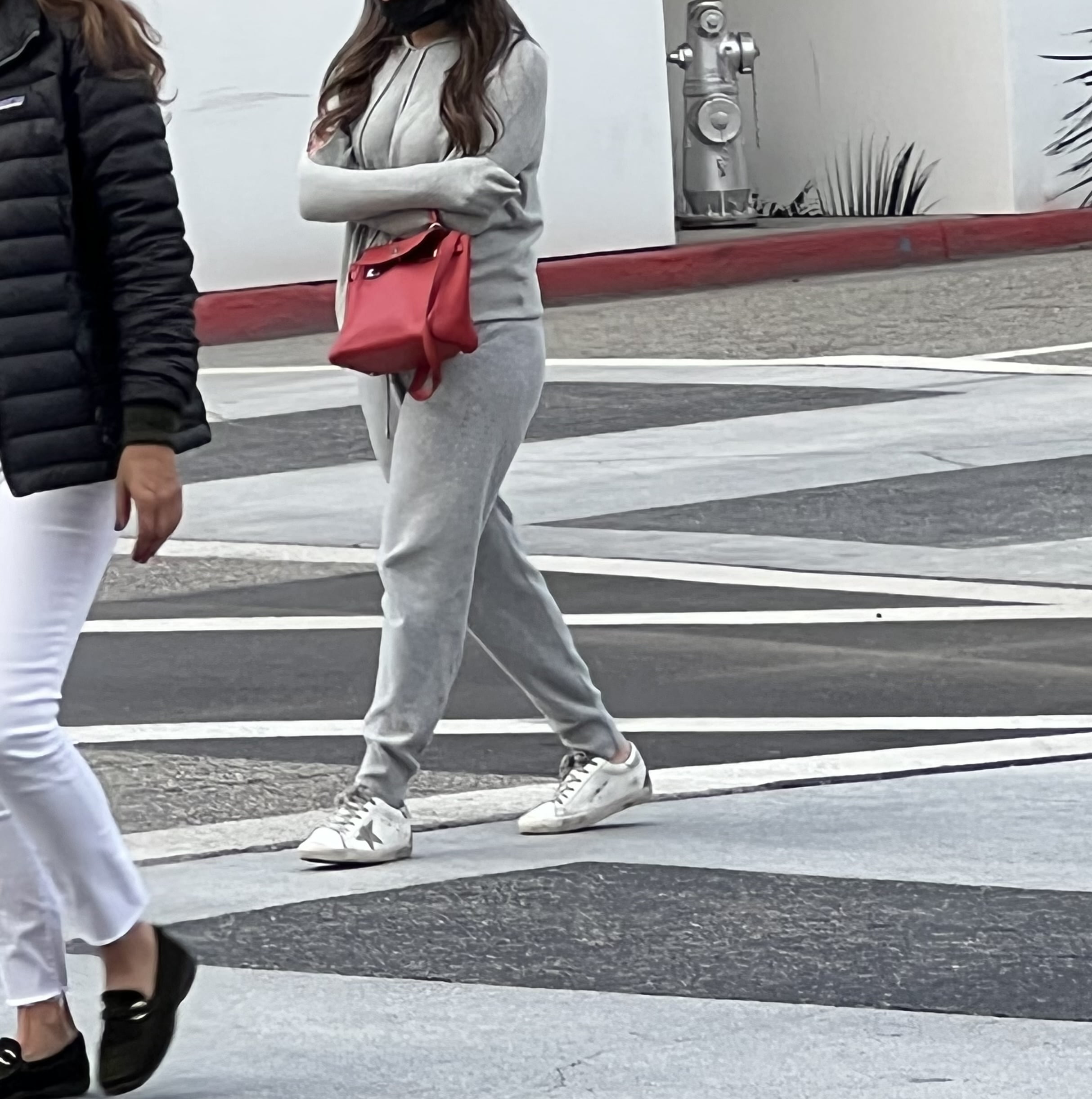 Hermès Birkins We Spotted Strutting on Rodeo Drive - PurseBop