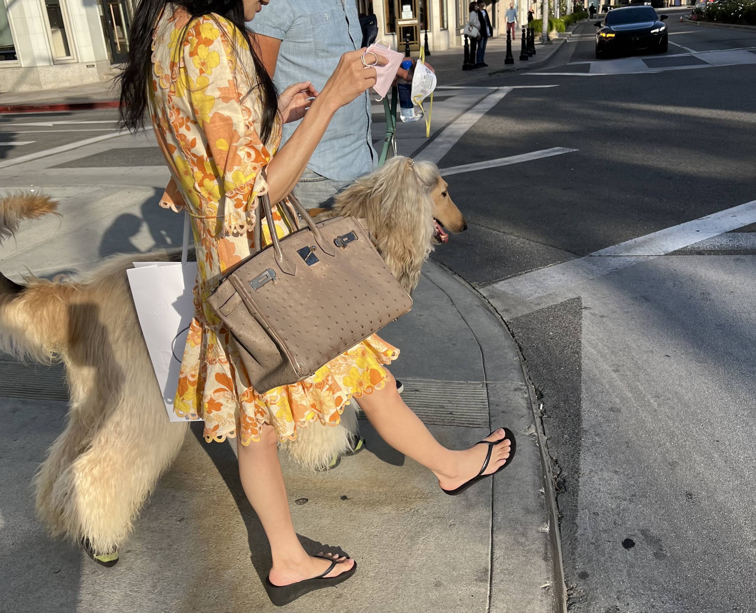 Hermès Birkins We Spotted Strutting on Rodeo Drive - PurseBop