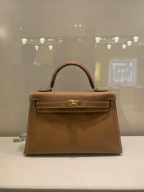 OMG, Move Over Mini Kelly, the Birkin 20 is Here - PurseBop