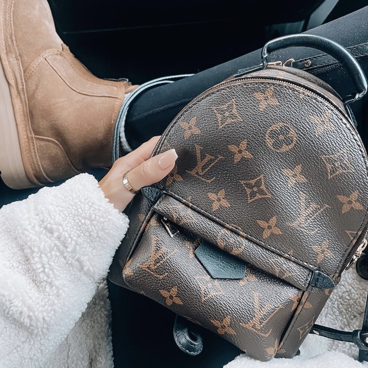 6 Luxurious Louis Vuitton Bags to Rock This Winter - PurseBop