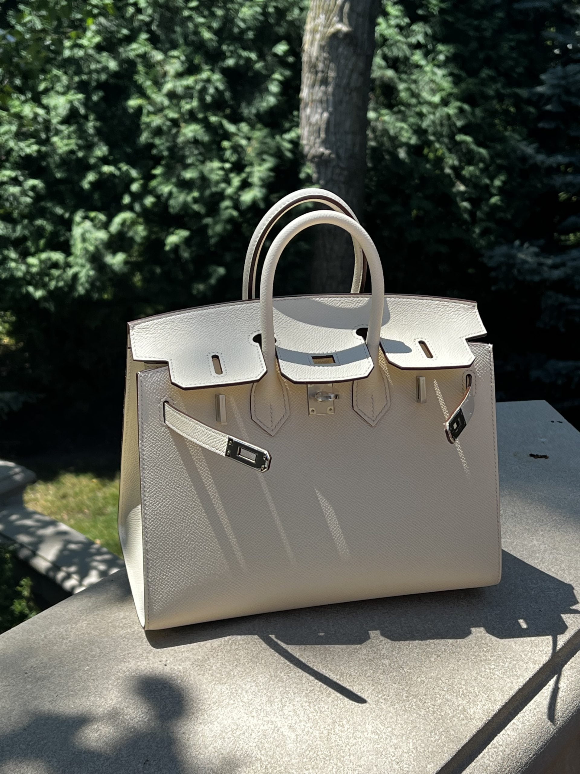 Reveal: My Special Order White Birthday Birkin - PurseBop