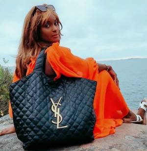 6 Luxurious Louis Vuitton Bags to Rock This Winter - PurseBop